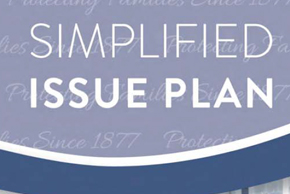 simplified issue plan